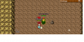Erdnuggel fighting against strong creatures on her way through the different floors, here on the first floor